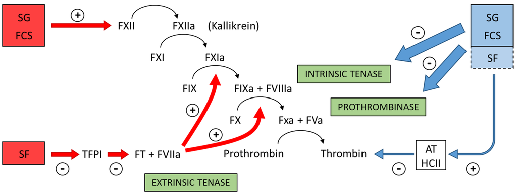 Marinedrugs 13 02770 g004 1024