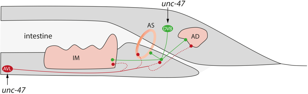 Marinedrugs 13 02785 g007 1024