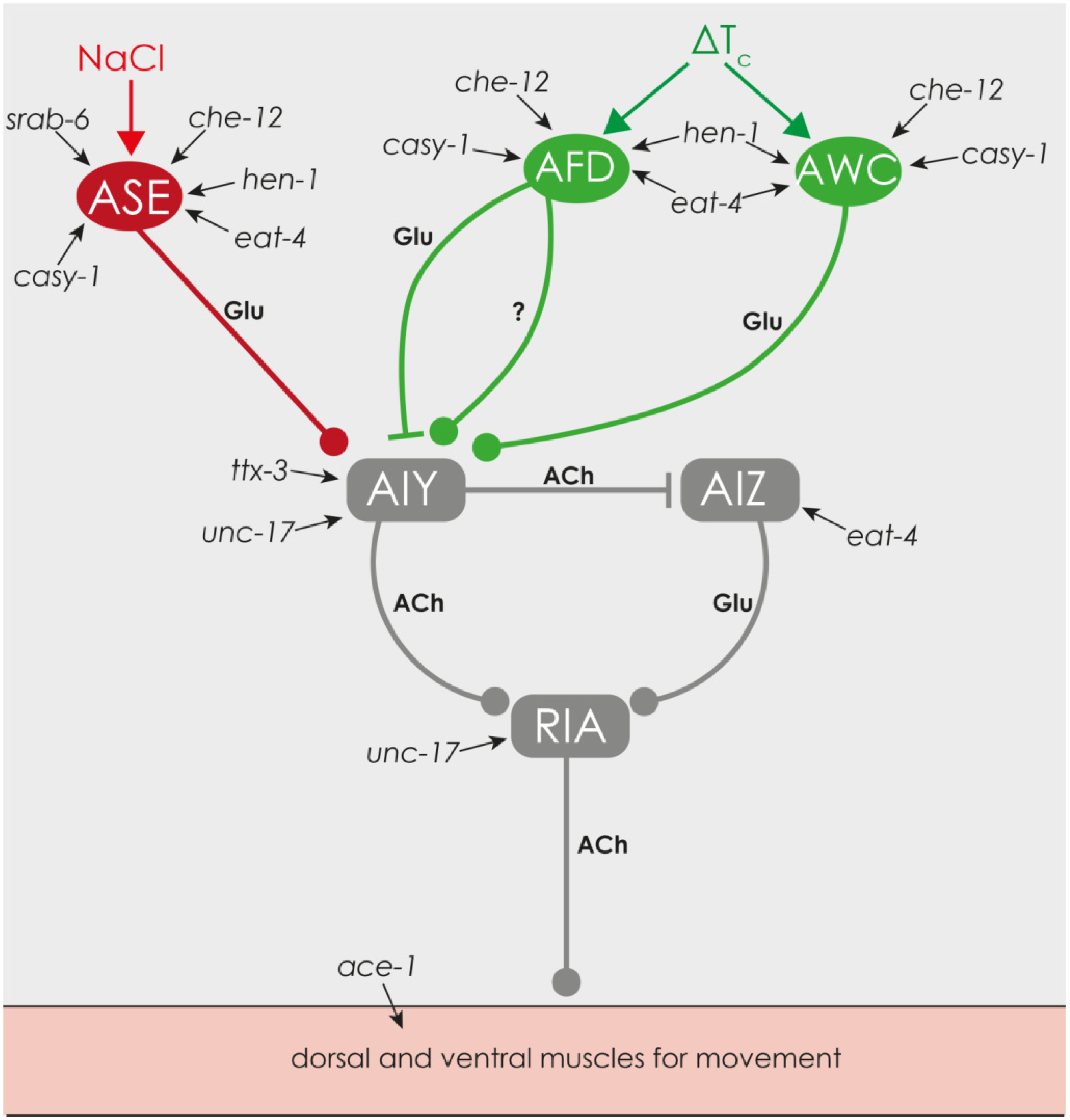 Marinedrugs 13 02785 g008