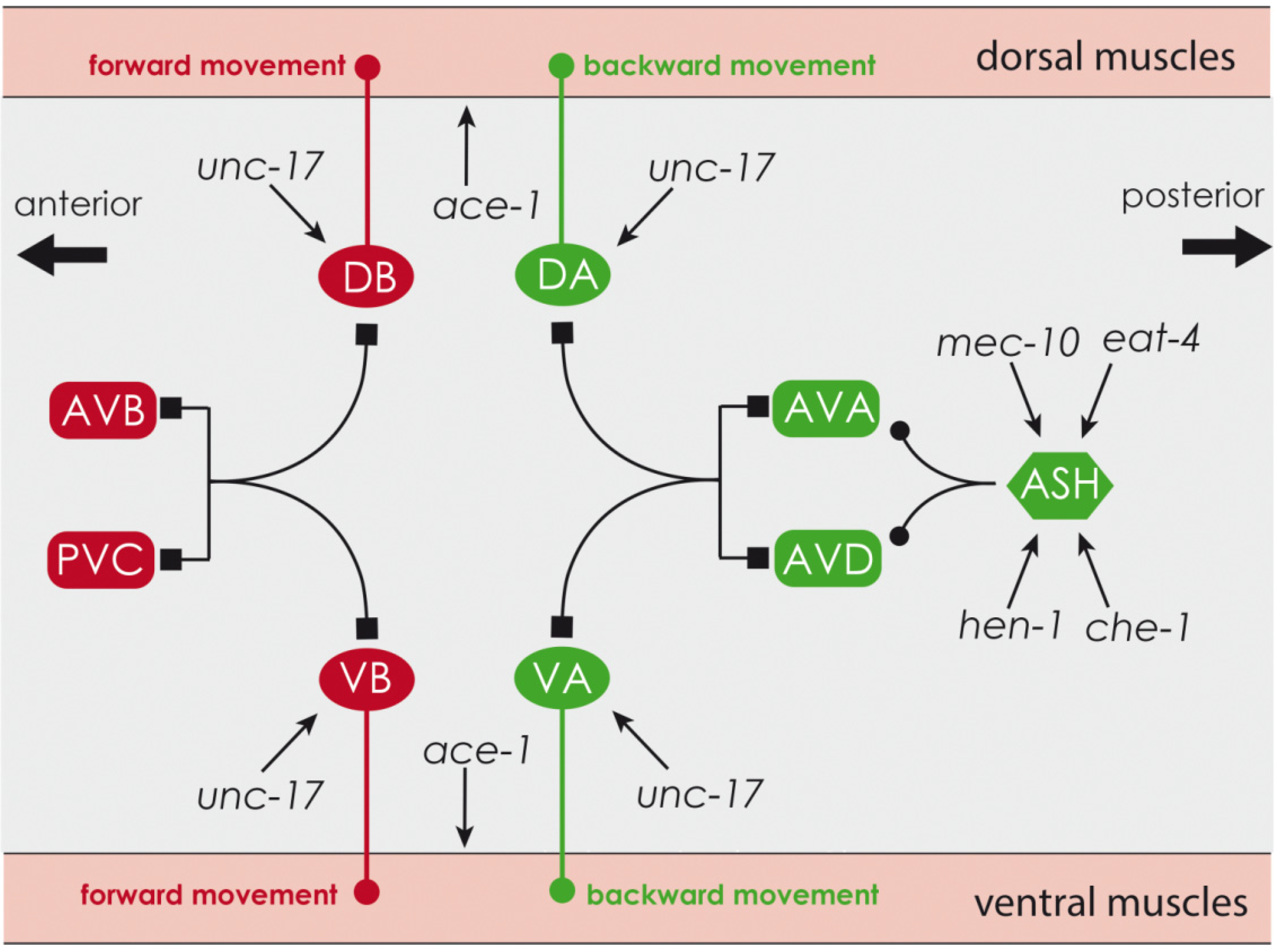 Marinedrugs 13 02785 g009