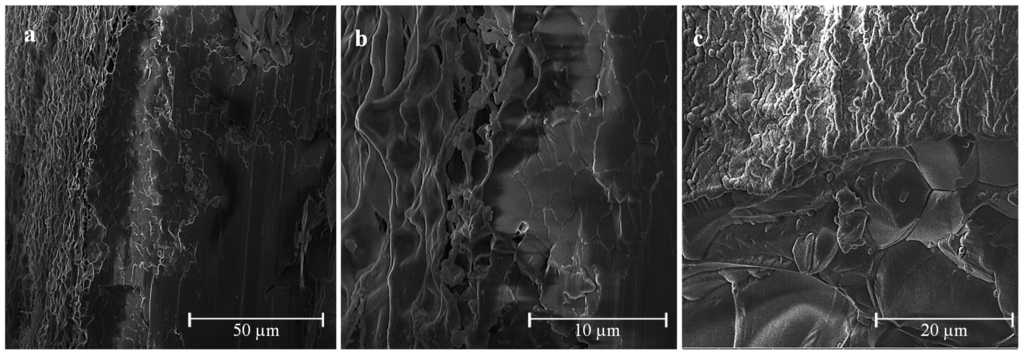 Marinedrugs 13 02890 g005a 1024