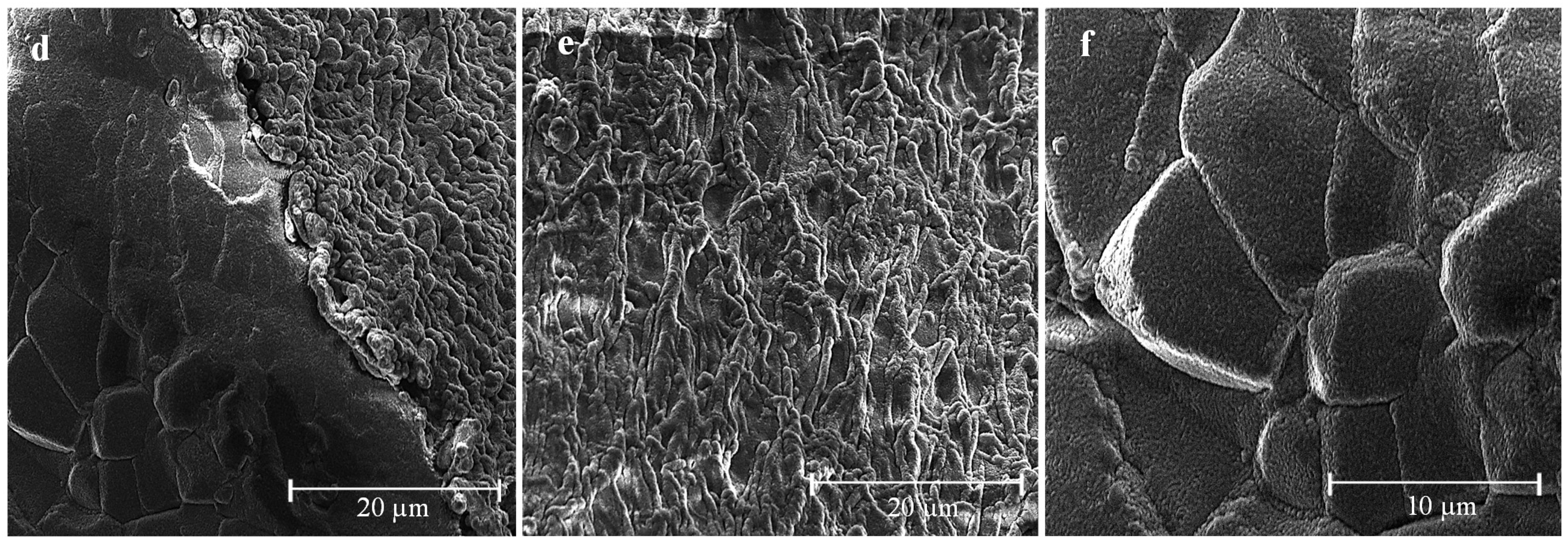 Marinedrugs 13 02890 g005b