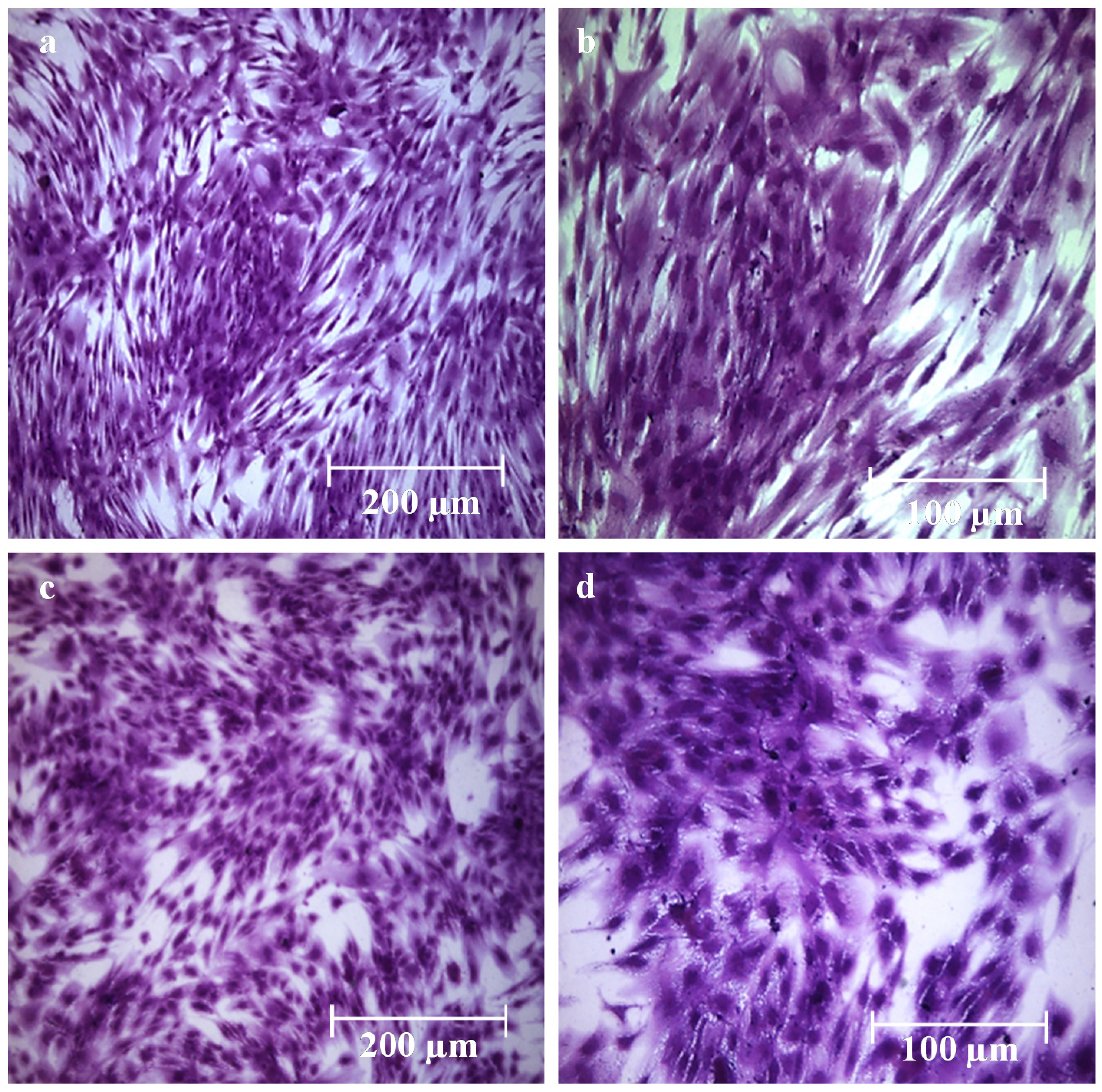 Marinedrugs 13 02890 g008