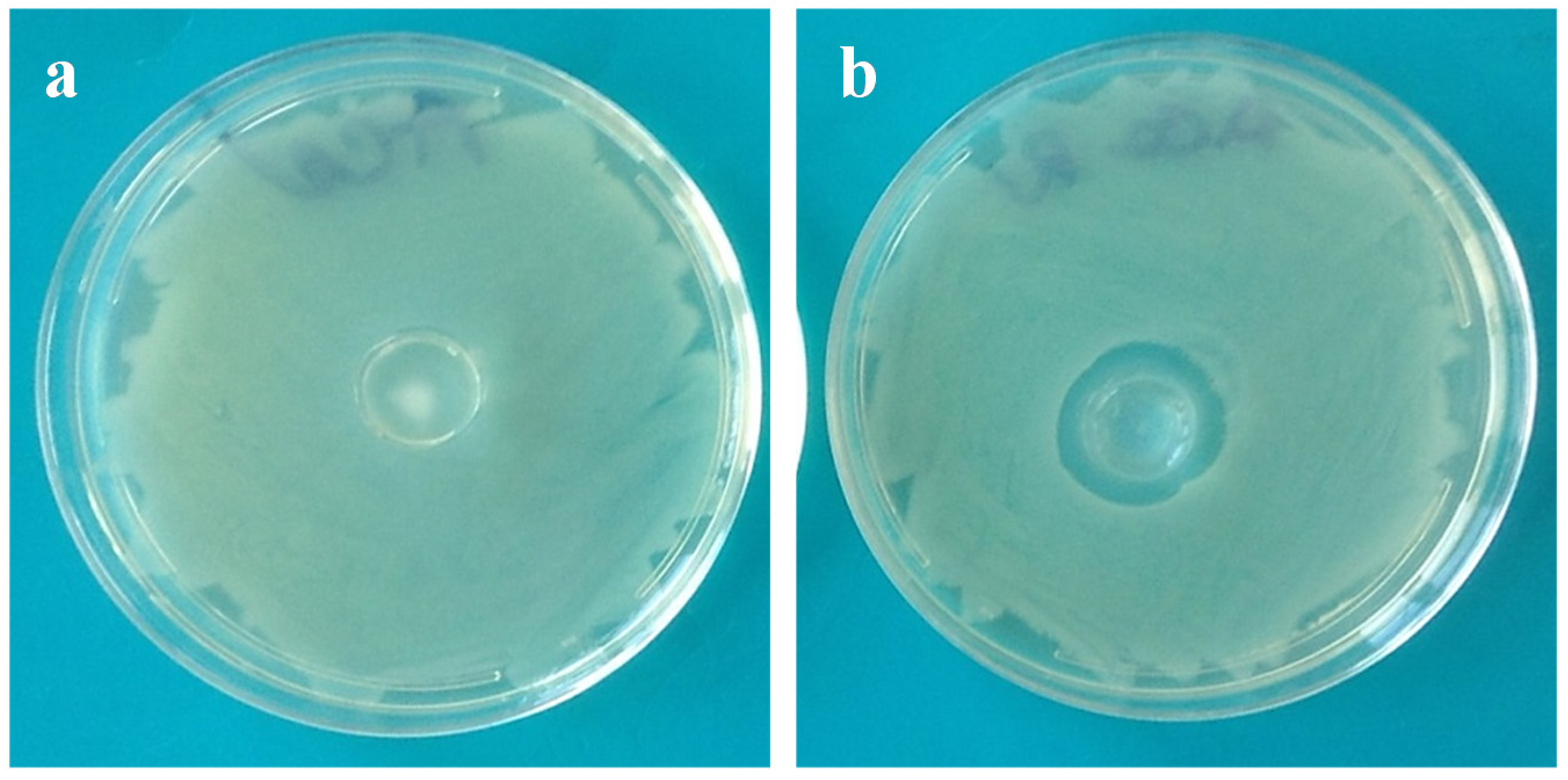 Marinedrugs 13 02890 g009