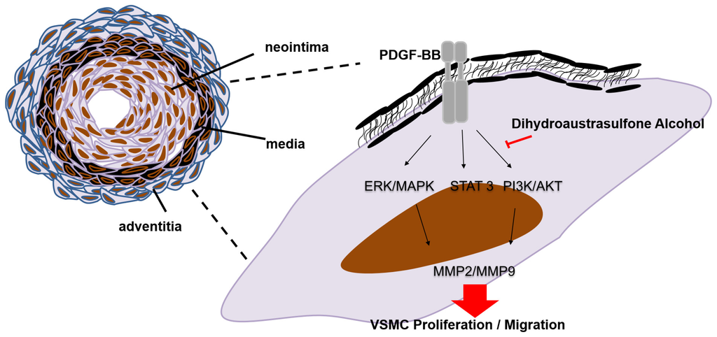 Marinedrugs 13 03046 g007 1024
