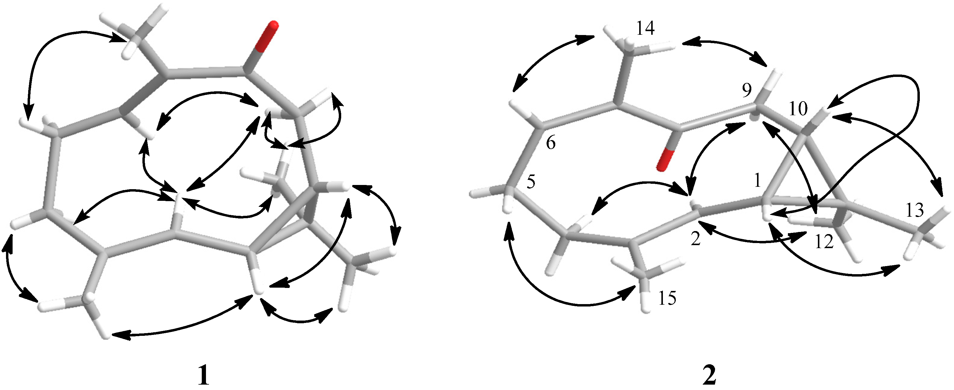 Marinedrugs 13 03103 g003