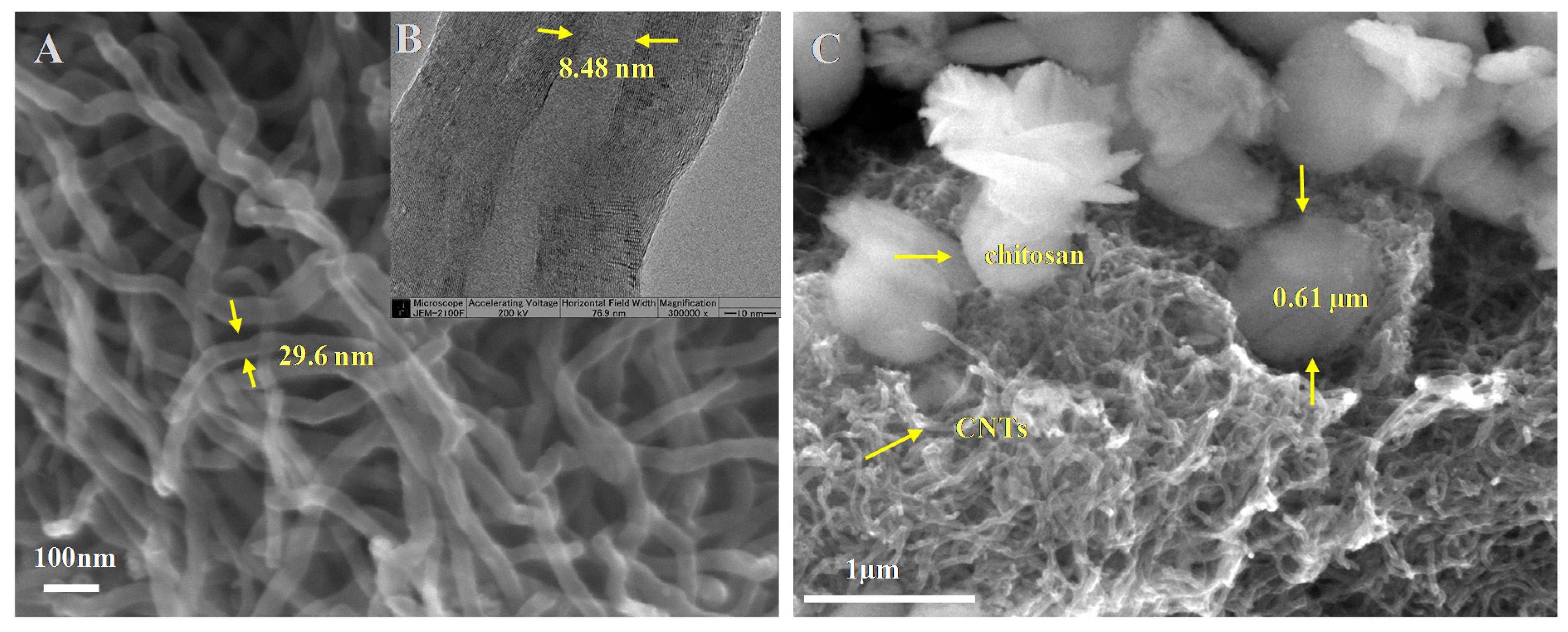 Marinedrugs 13 03116 g001