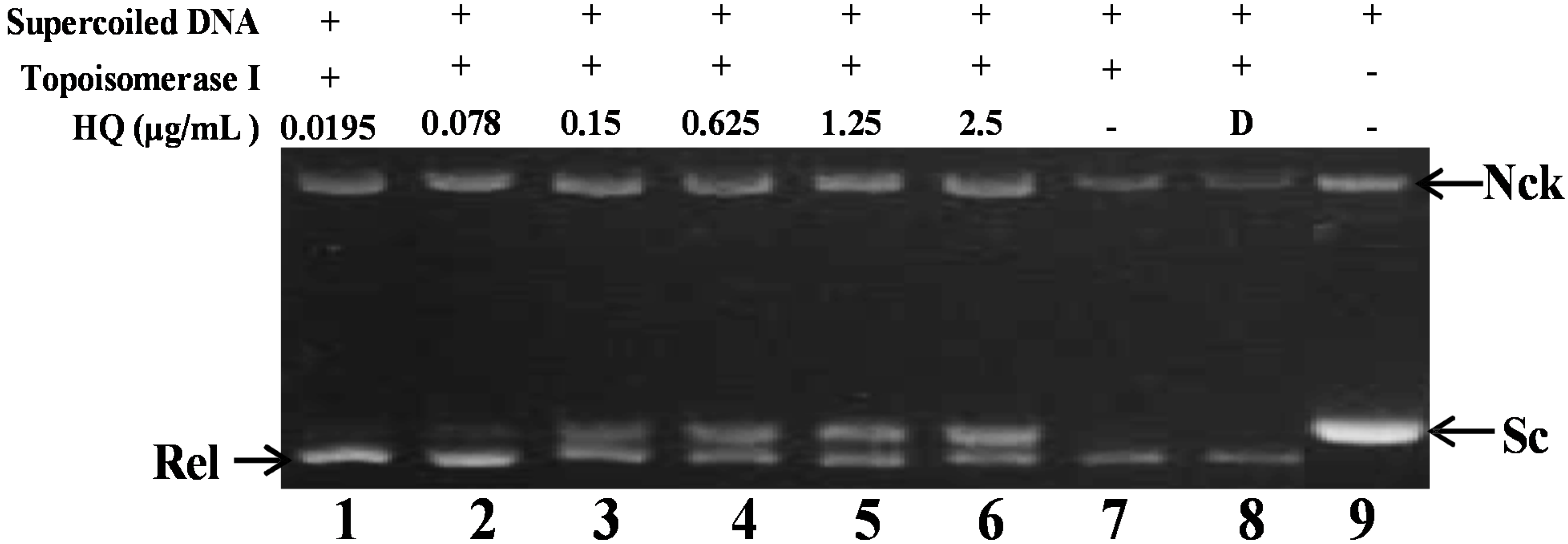 Marinedrugs 13 03132 g002