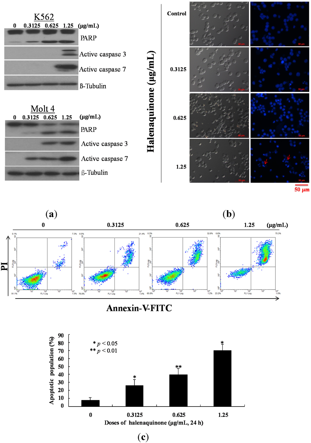 Marinedrugs 13 03132 g005a 1024