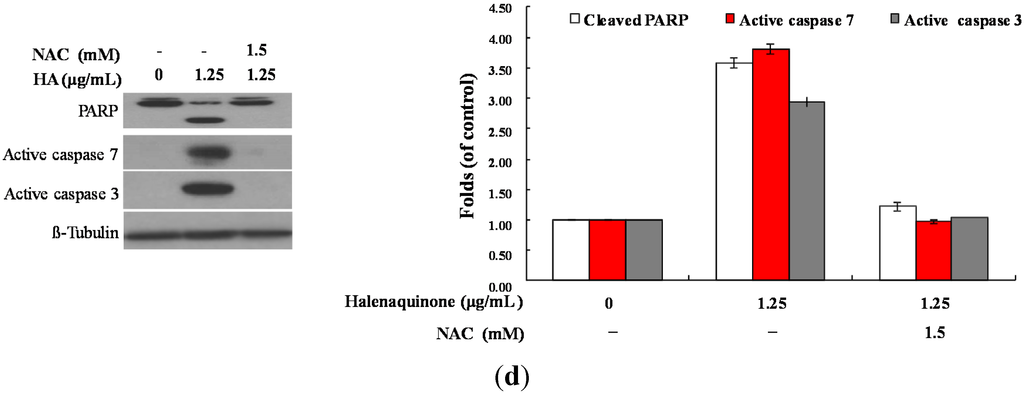 Marinedrugs 13 03132 g006b 1024