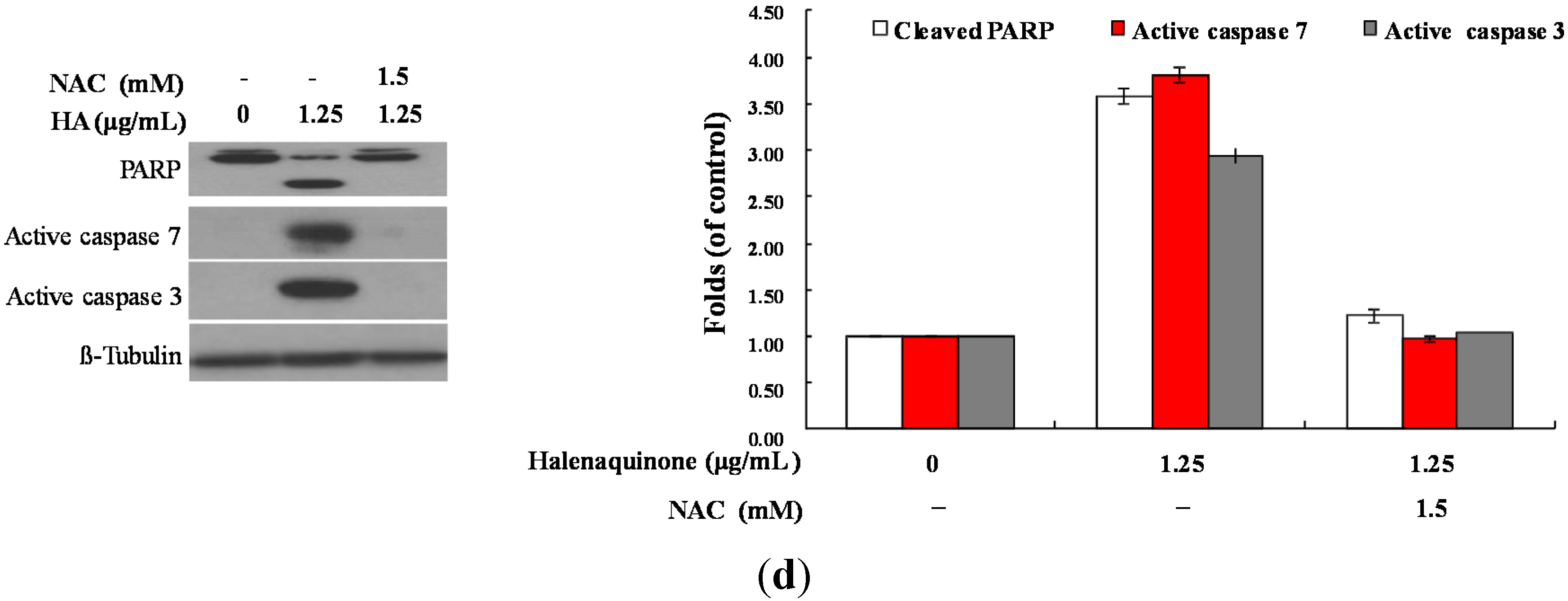 Marinedrugs 13 03132 g006b