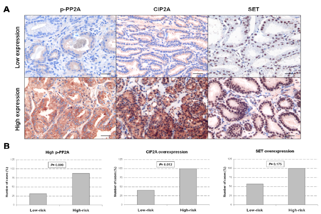 Marinedrugs 13 03276 g003 1024