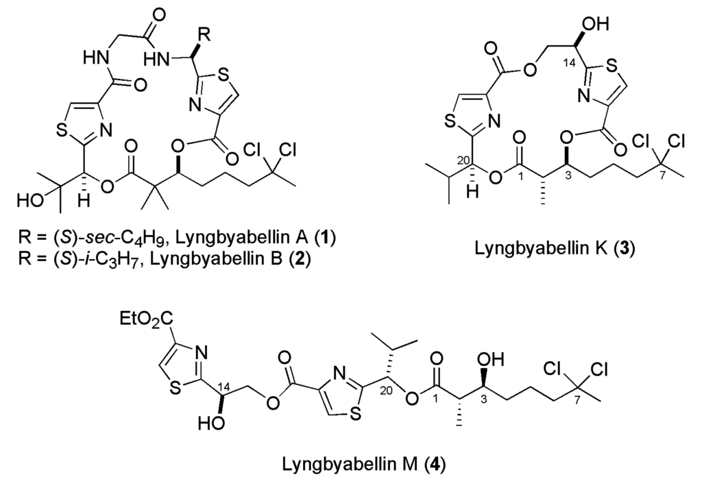 Marinedrugs 13 03309 g001a 1024
