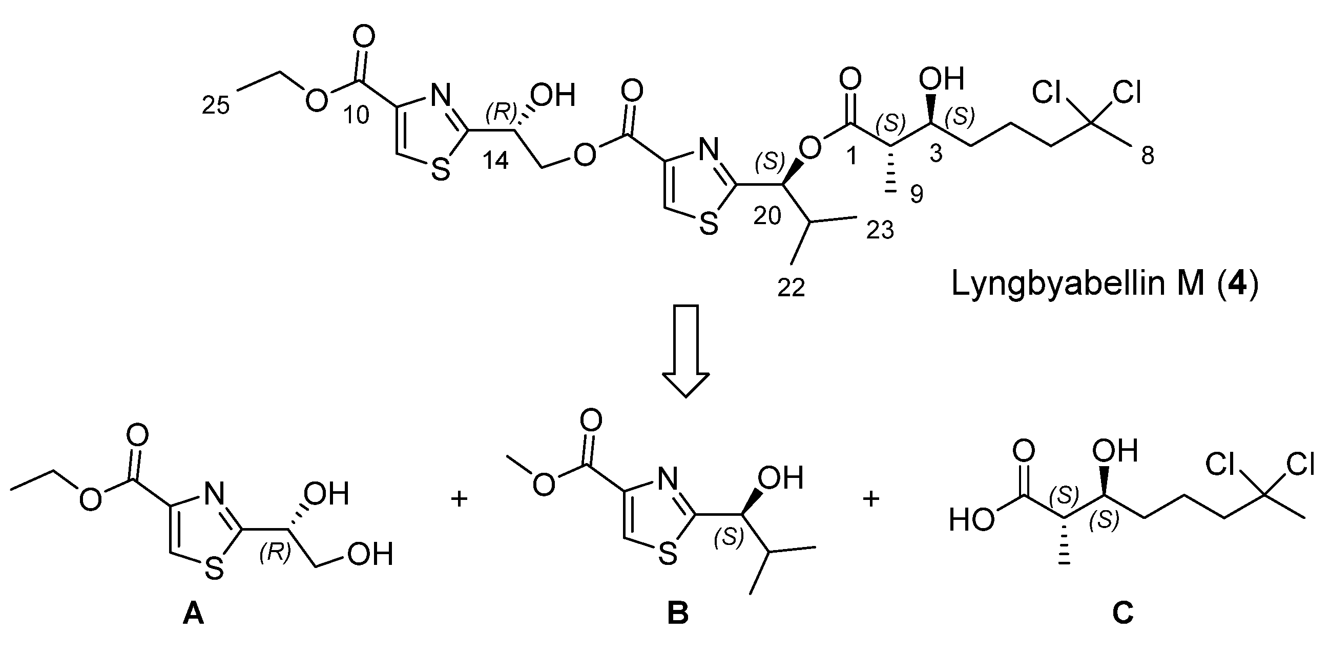 Marinedrugs 13 03309 g002