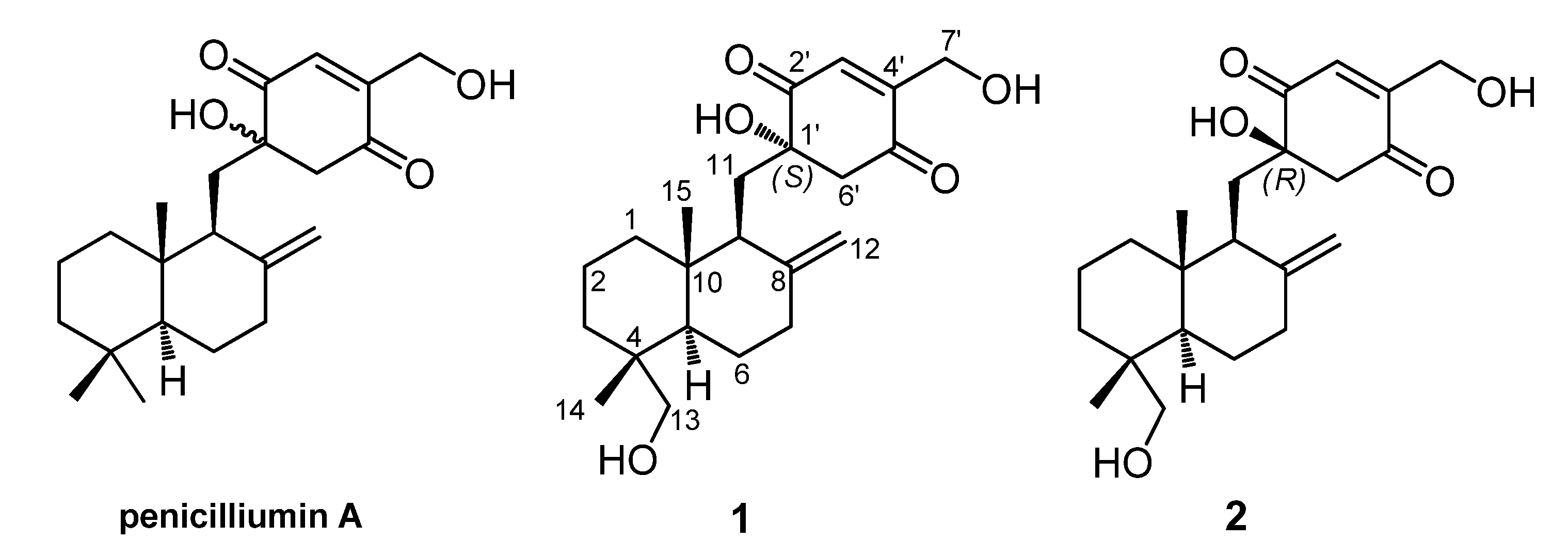 Marinedrugs 13 03360 g001