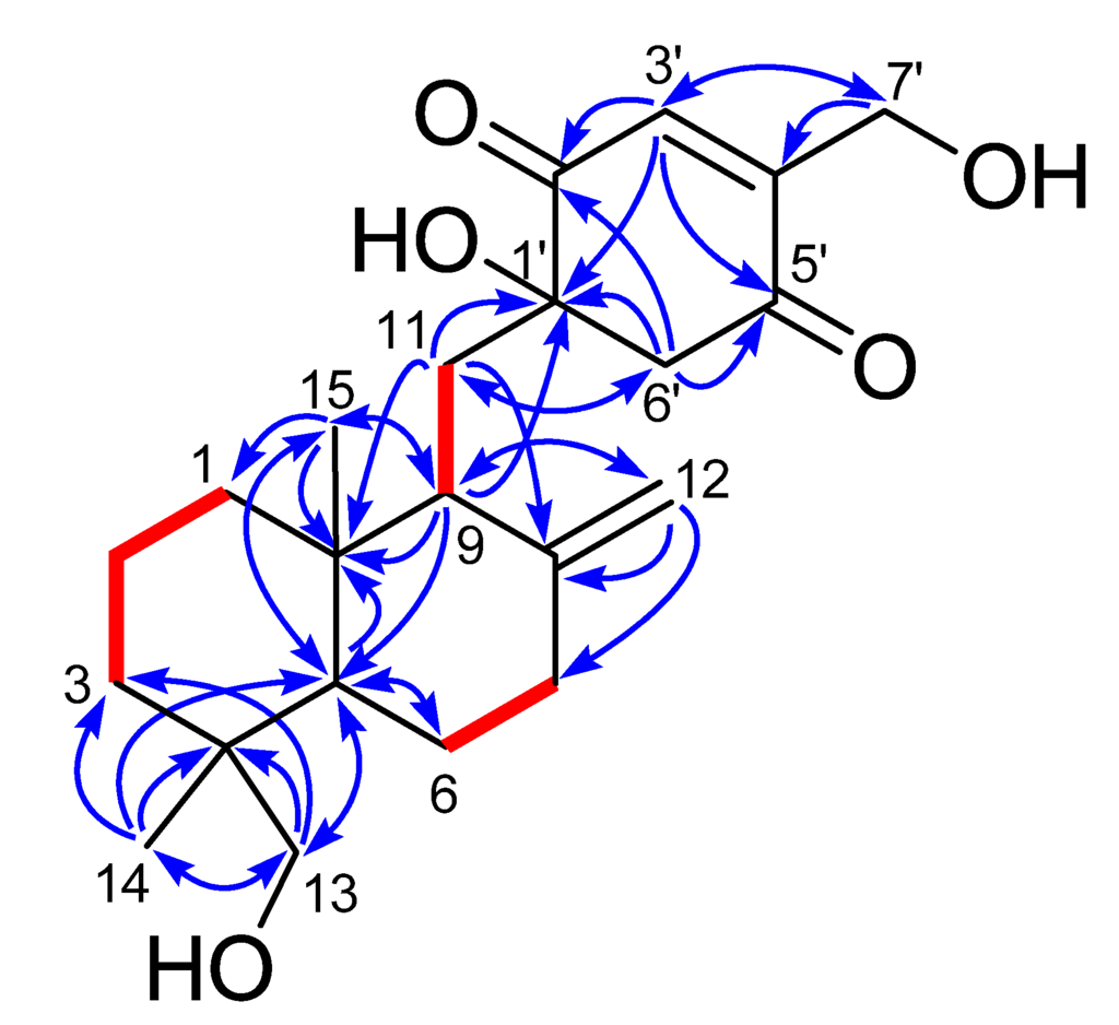 Marinedrugs 13 03360 g002 1024