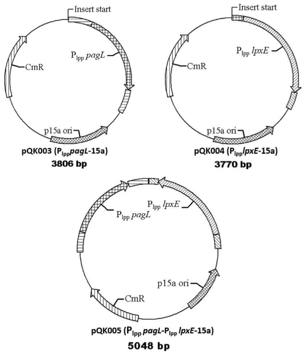 Marinedrugs 13 03388 g002 1024