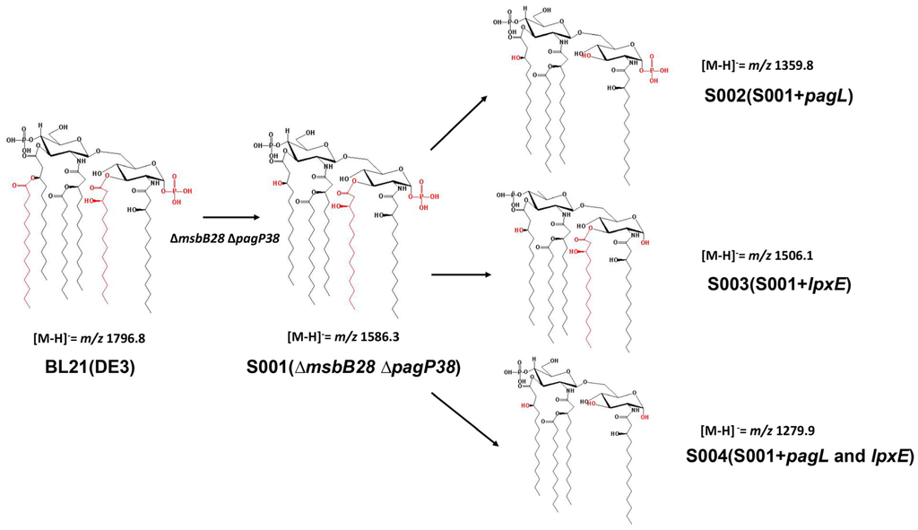 Marinedrugs 13 03388 g003 1024