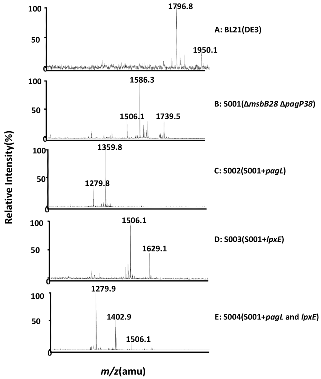 Marinedrugs 13 03388 g004 1024