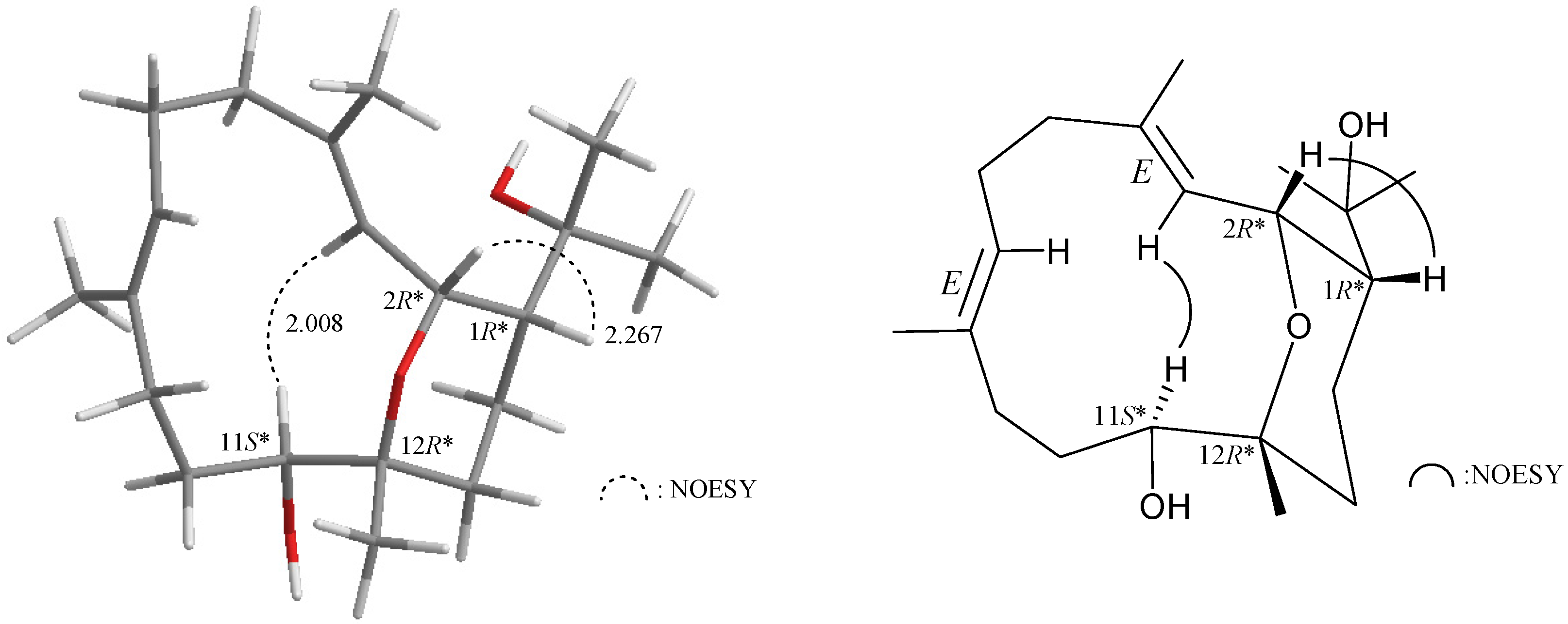 Marinedrugs 13 03443 g001