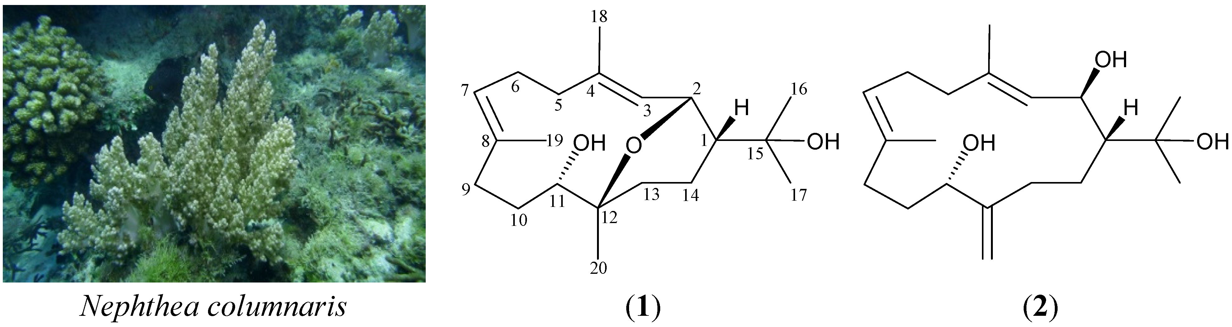 Marinedrugs 13 03443 g004