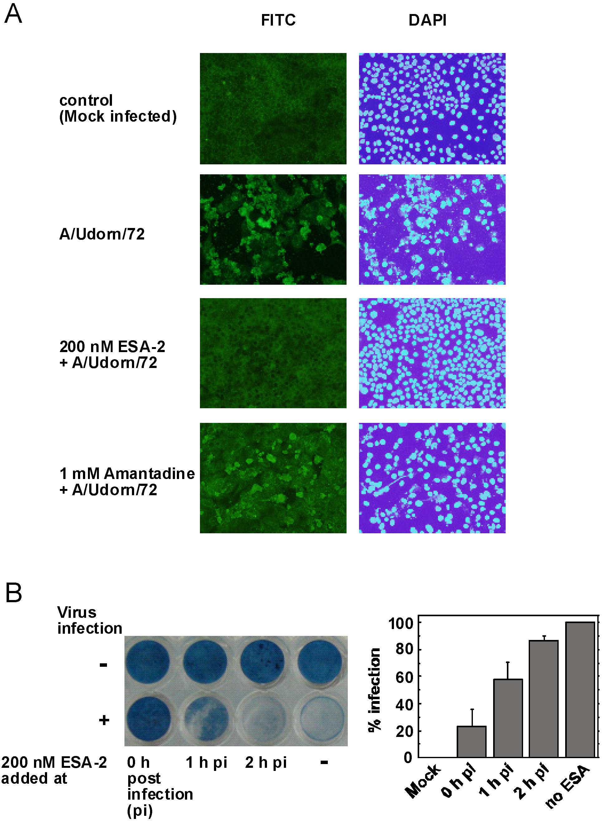 Marinedrugs 13 03454 g003