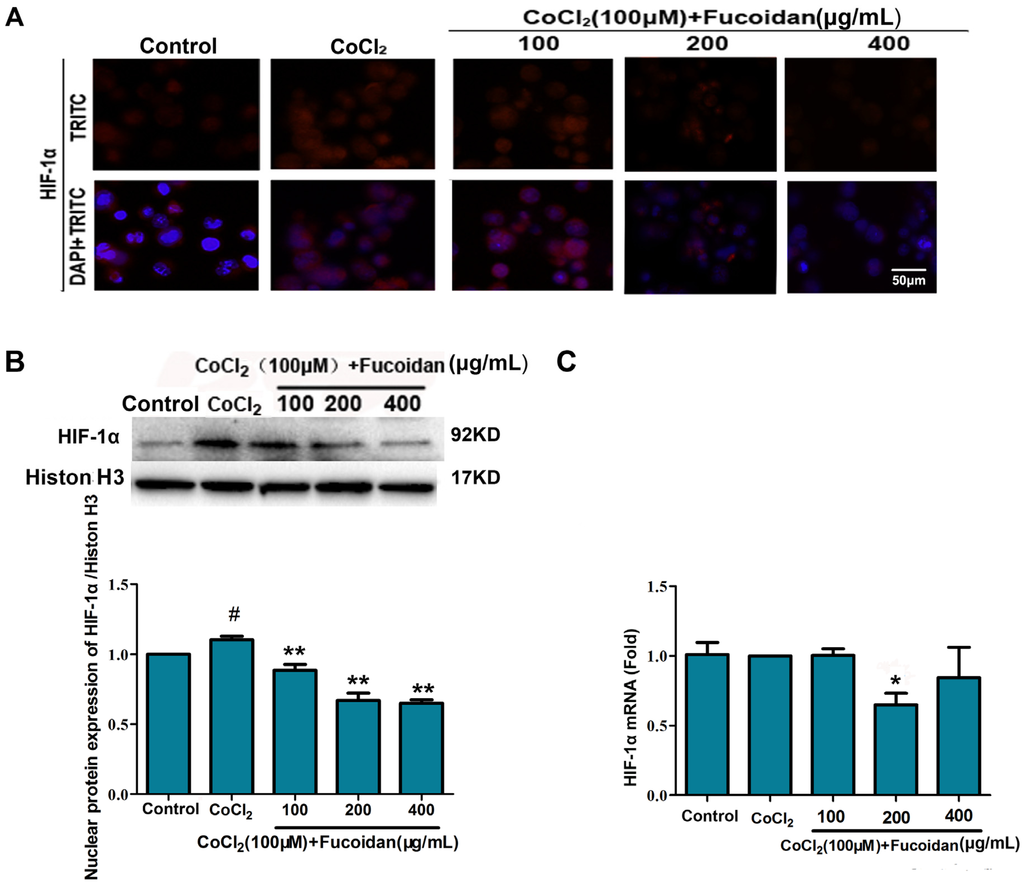 Marinedrugs 13 03514 g002 1024