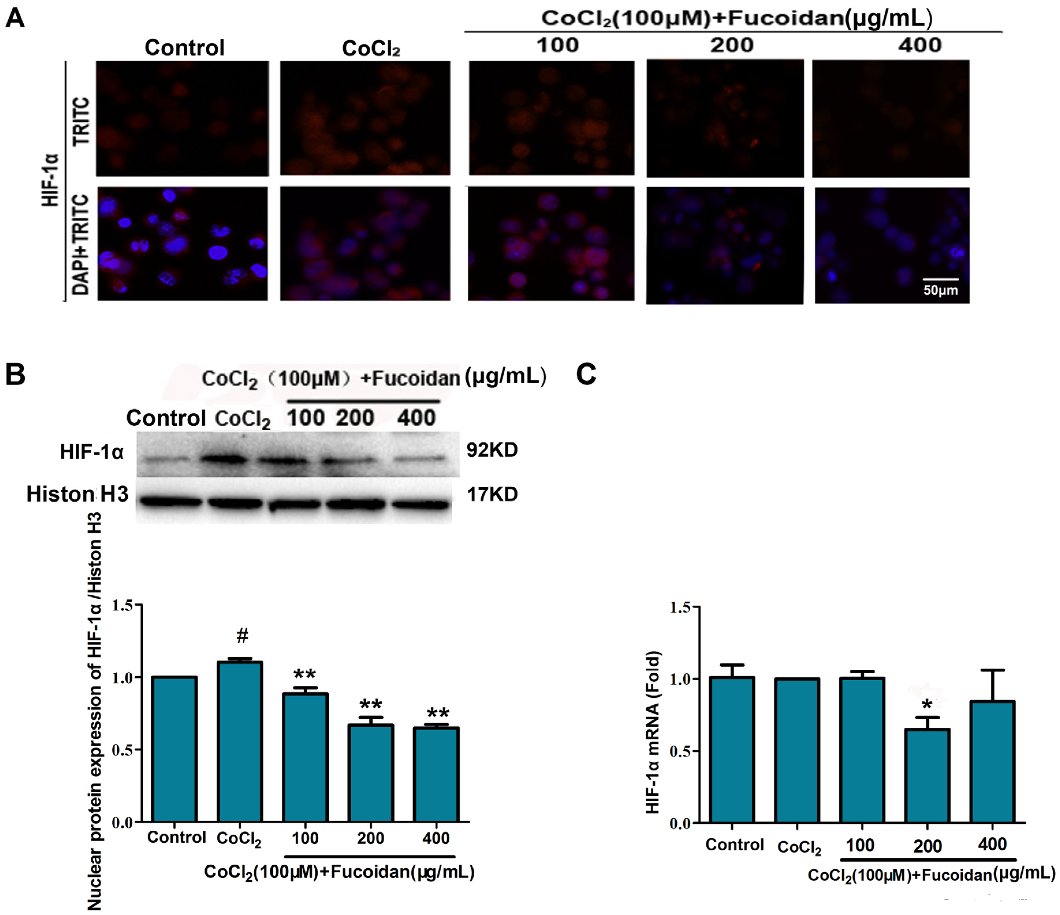 Marinedrugs 13 03514 g002