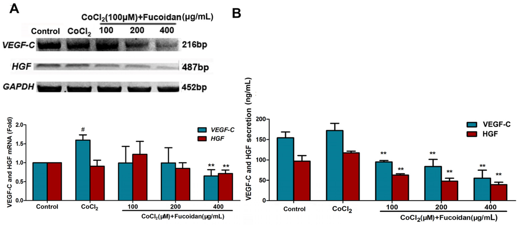 Marinedrugs 13 03514 g004 1024