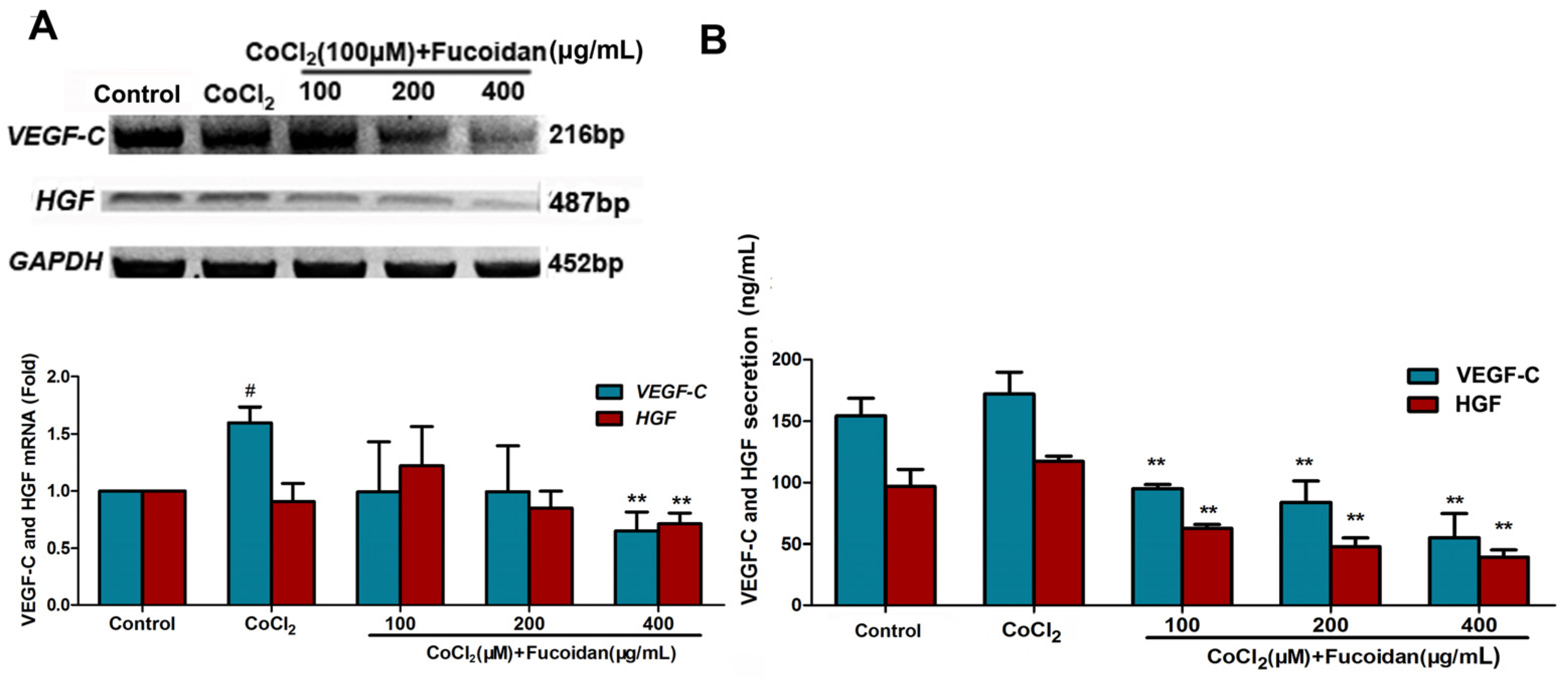 Marinedrugs 13 03514 g004