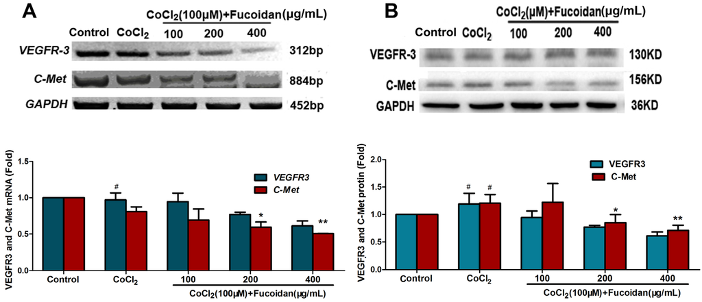 Marinedrugs 13 03514 g005 1024