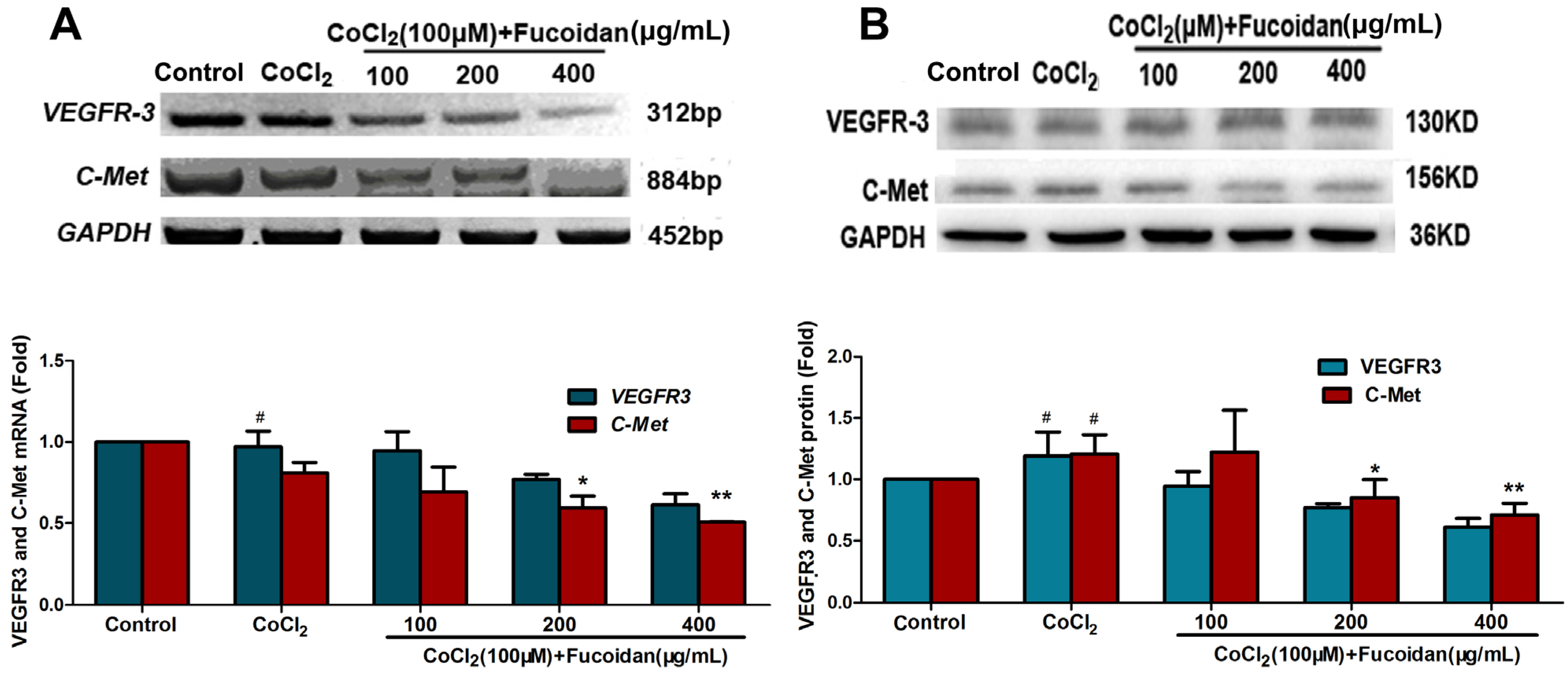 Marinedrugs 13 03514 g005