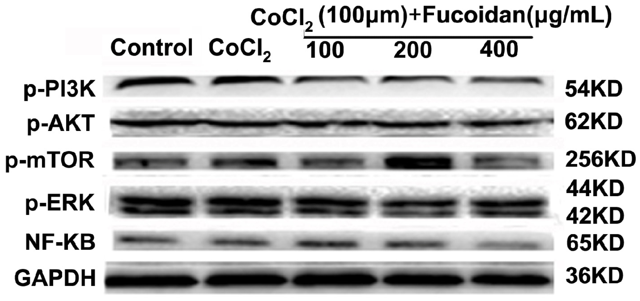 Marinedrugs 13 03514 g006a