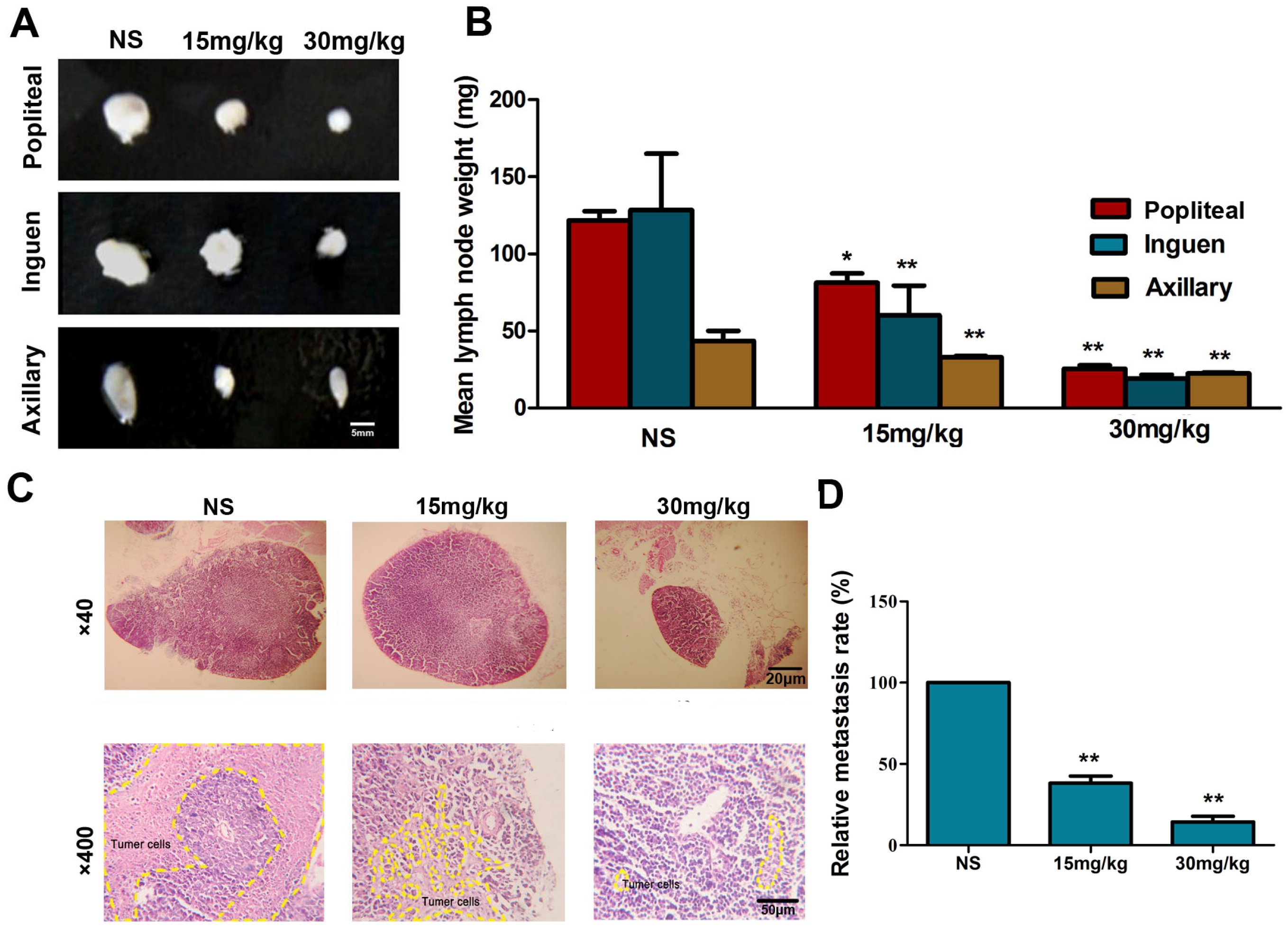 Marinedrugs 13 03514 g007