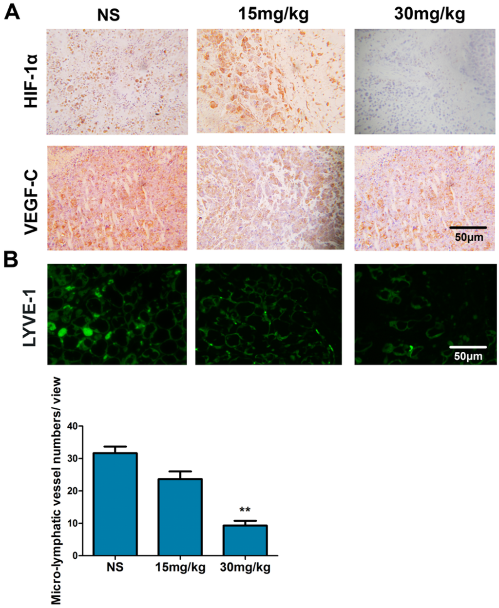 Marinedrugs 13 03514 g008 1024
