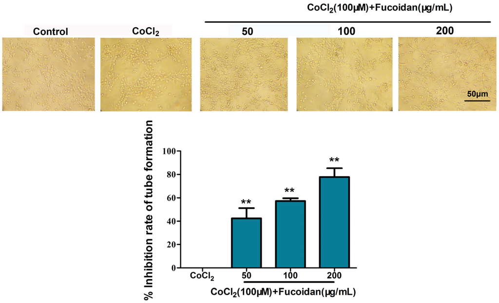 Marinedrugs 13 03514 g009 1024
