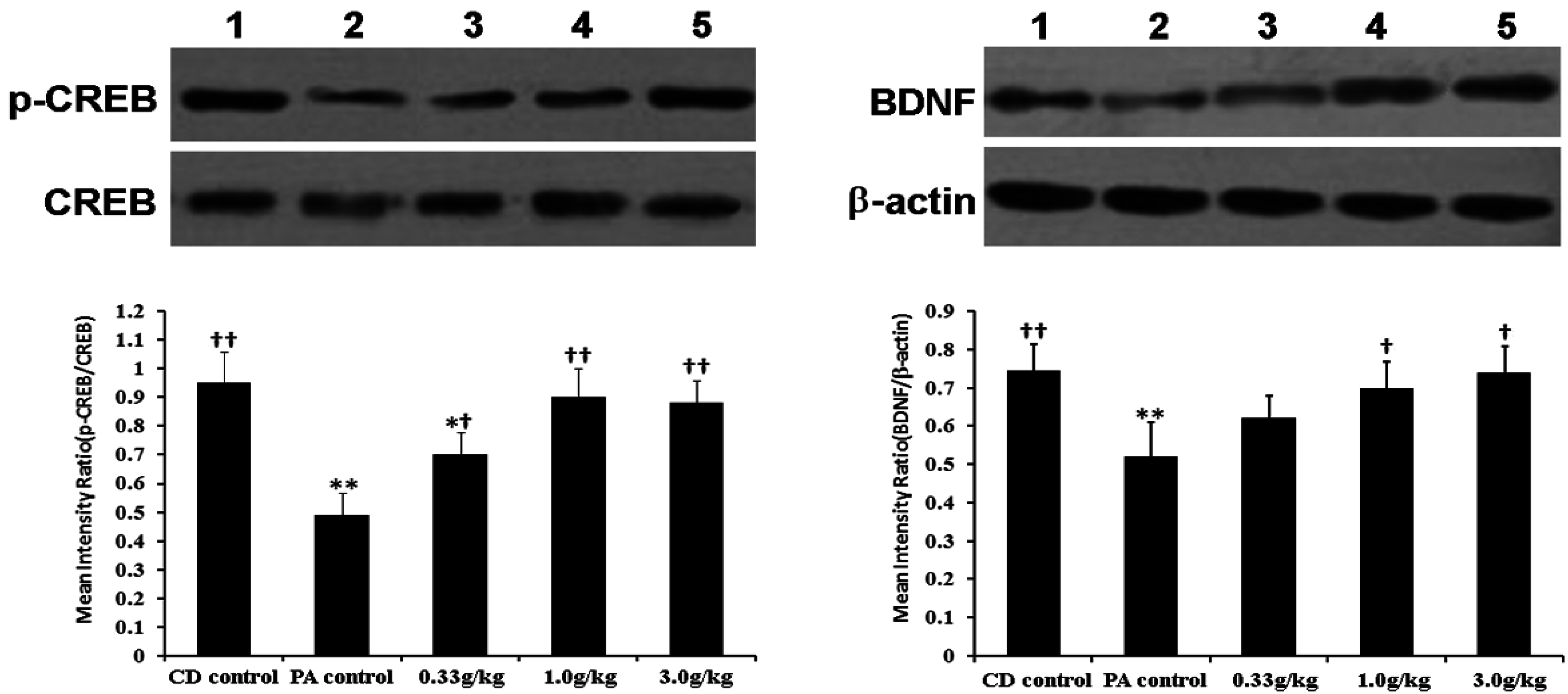 Marinedrugs 13 03653 g005