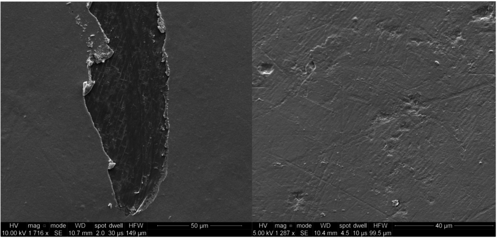 Marinedrugs 13 03732 g002 1024