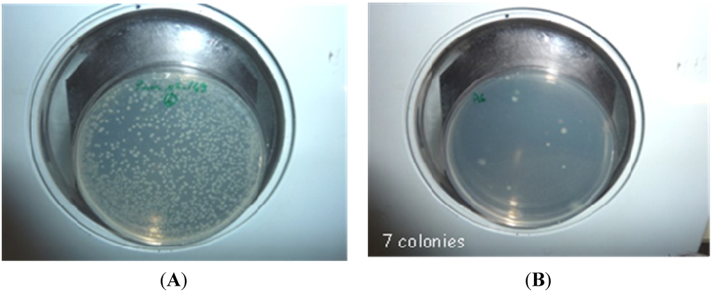 Marinedrugs 13 03732 g003 1024