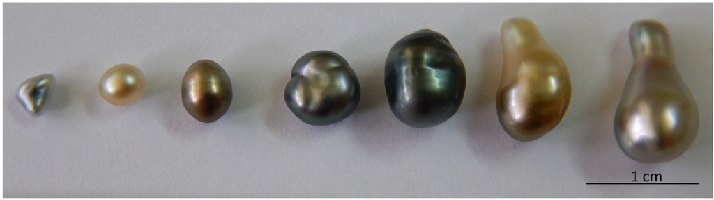 Marinedrugs 13 03732 g006 1024