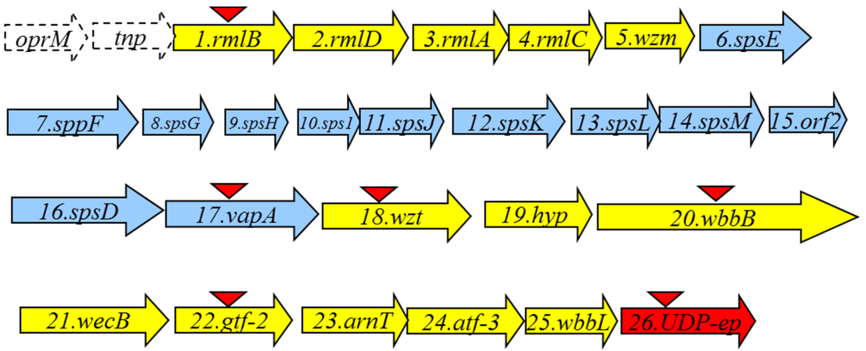 Marinedrugs 13 03791 g001