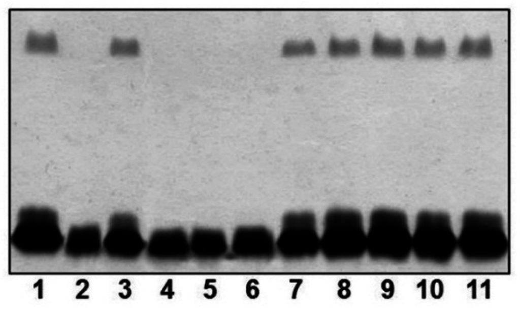 Marinedrugs 13 03791 g002 1024