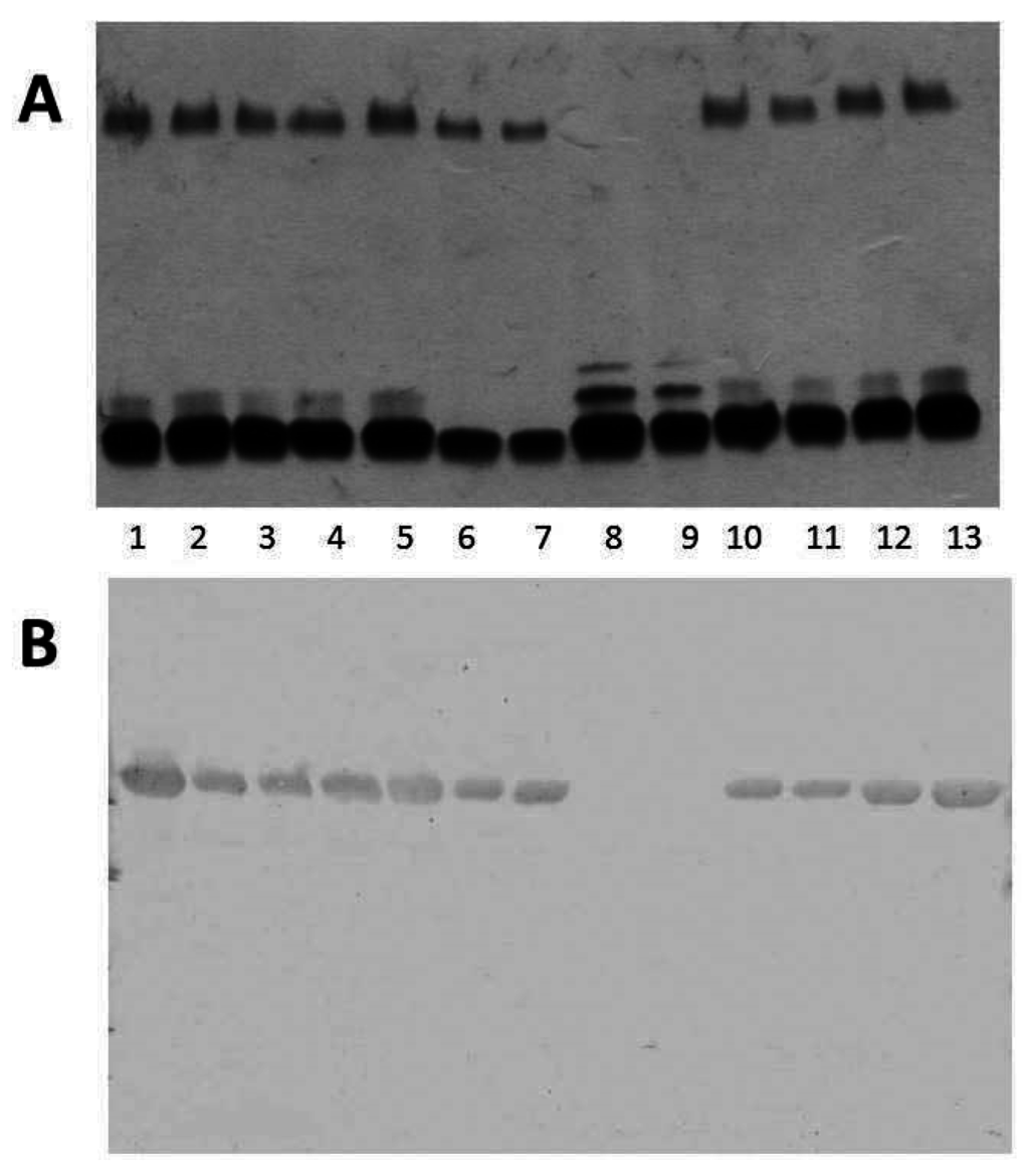 Marinedrugs 13 03791 g004 1024