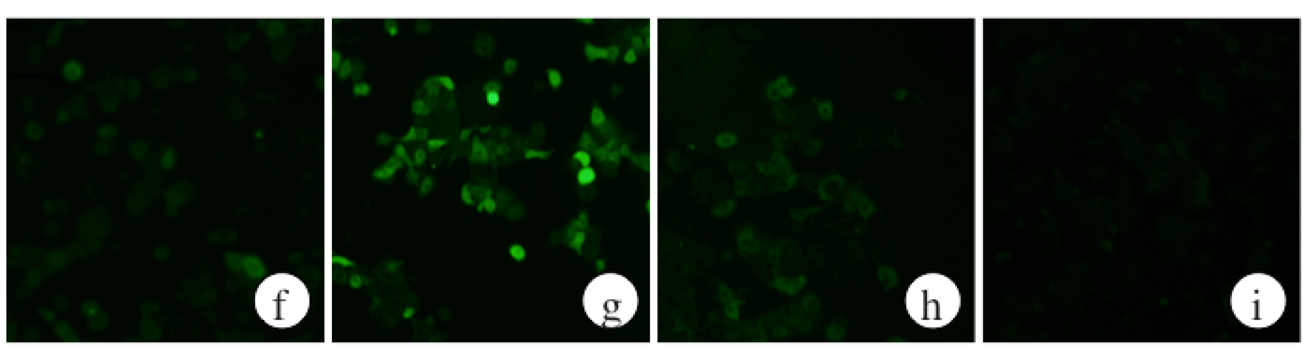 Marinedrugs 13 03877 g001b