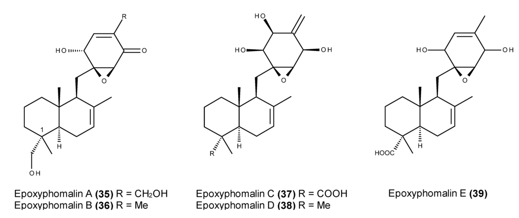 Marinedrugs 13 03950 g013 1024