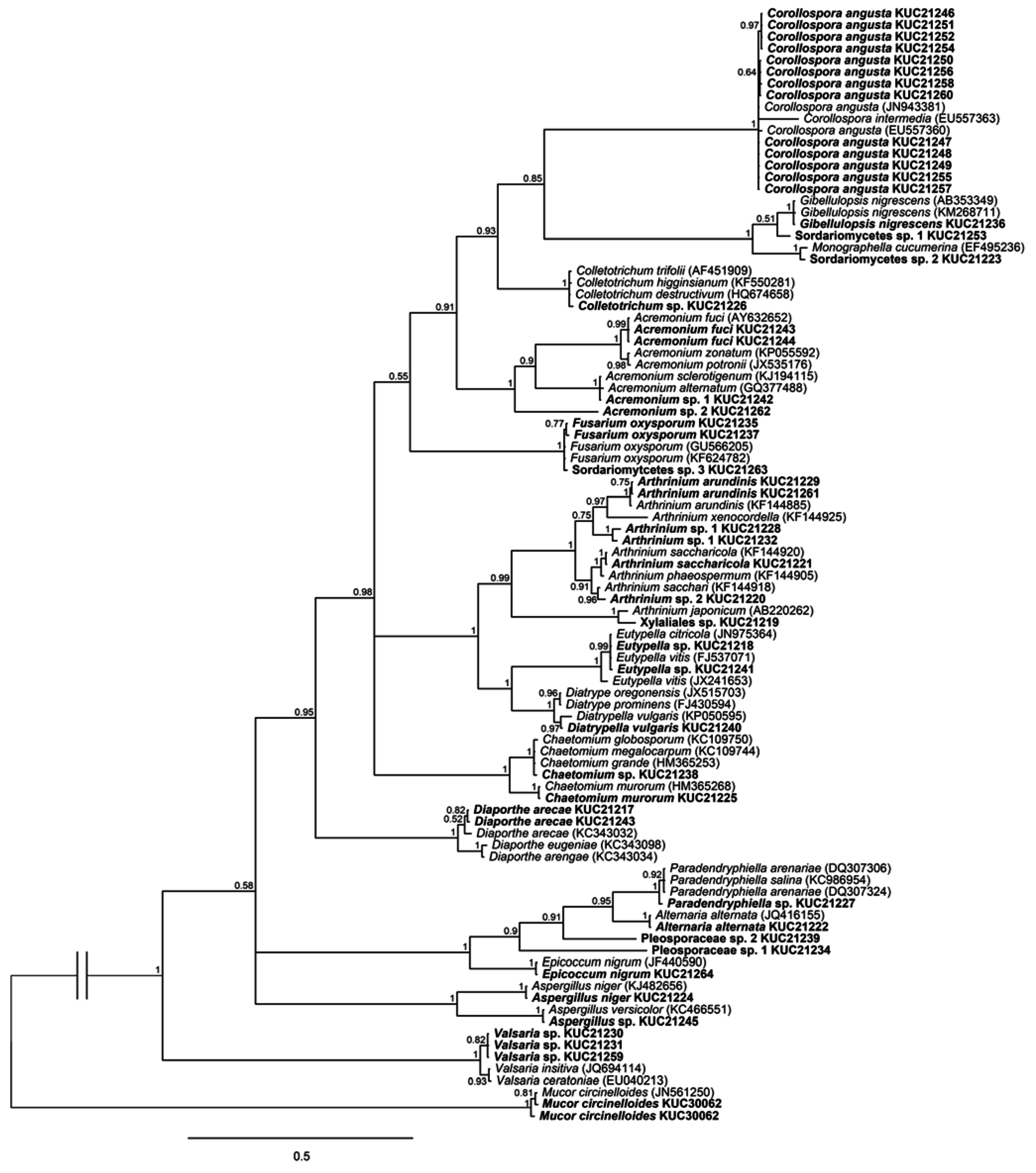 Marinedrugs 13 04137 g001