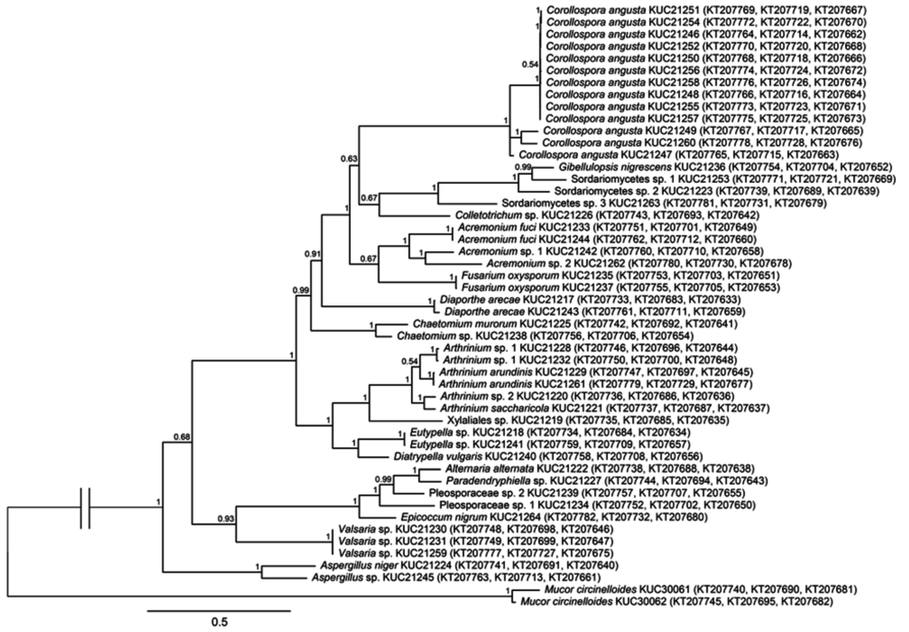 Marinedrugs 13 04137 g002 1024