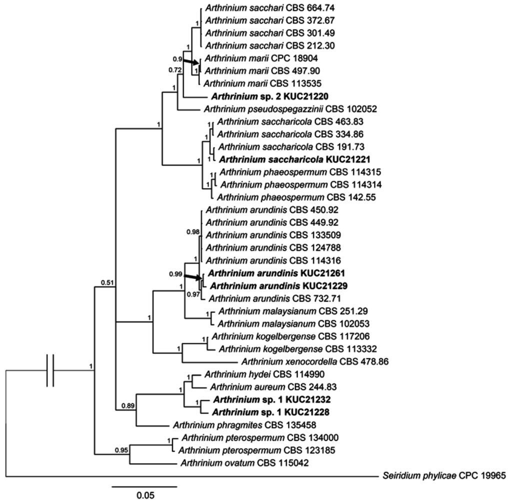 Marinedrugs 13 04137 g003 1024