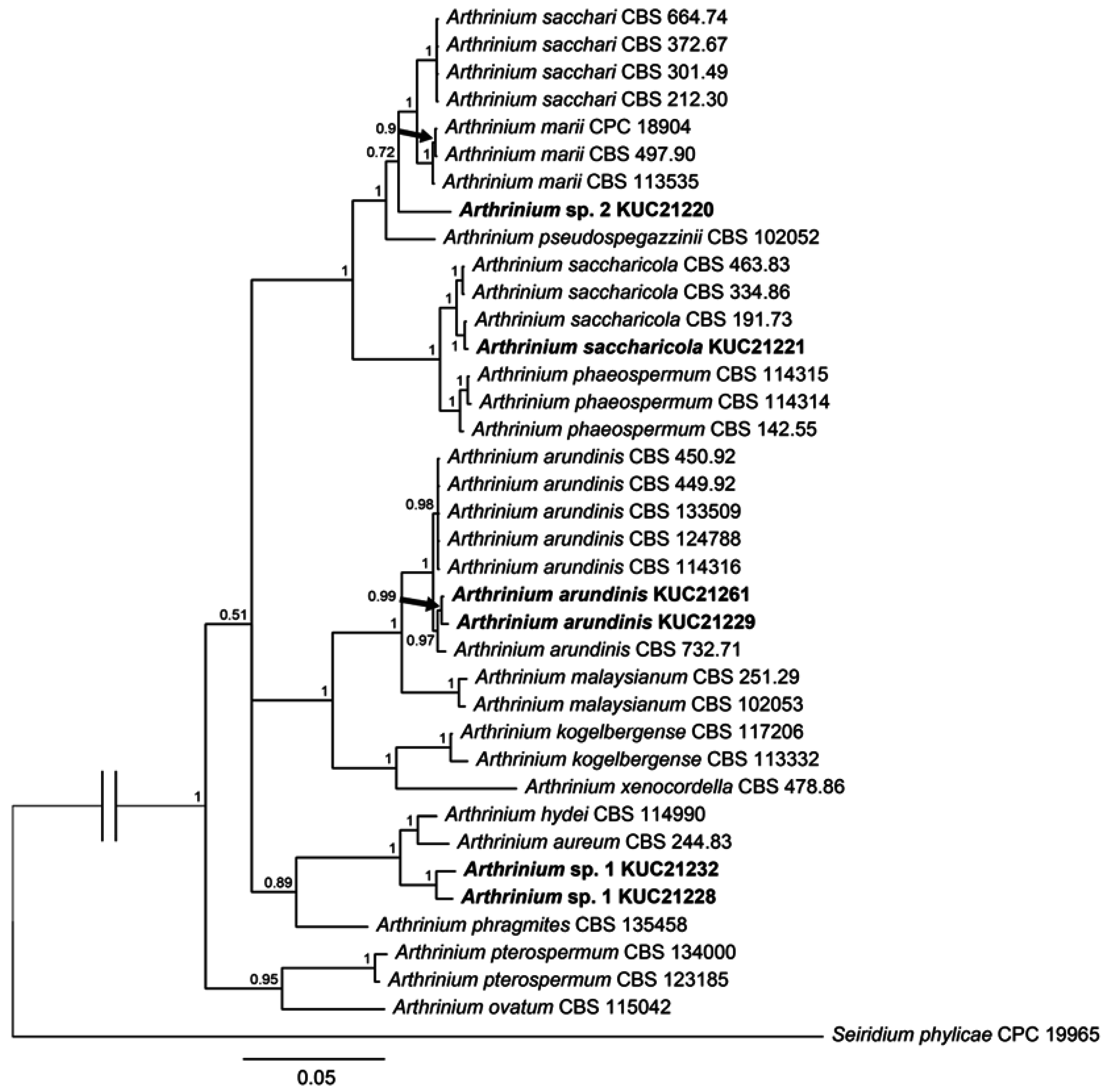 Marinedrugs 13 04137 g003