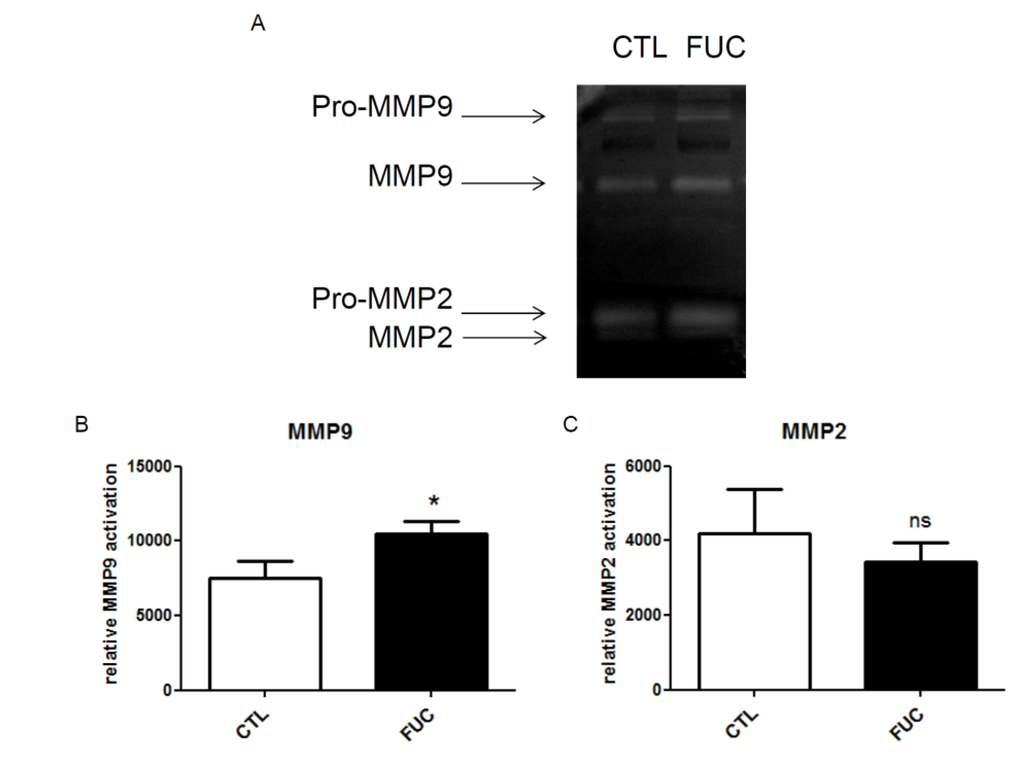 Marinedrugs 13 04156 g003 1024